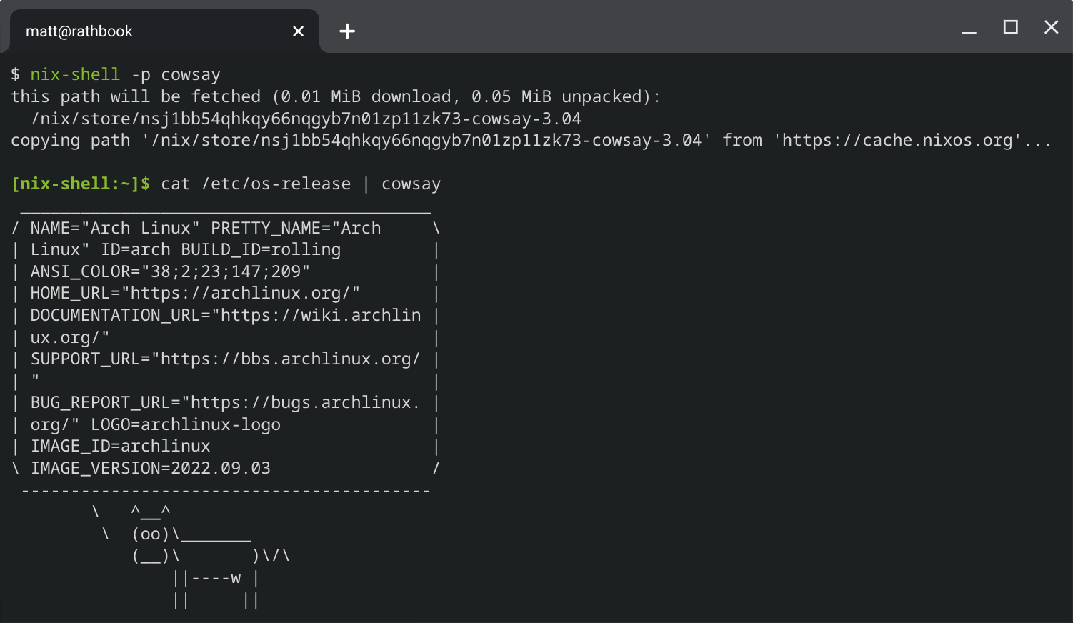 A nix shell running ‘cat /etc/os-release | cowsay’